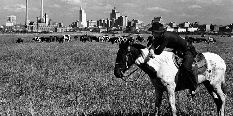 dallas texas